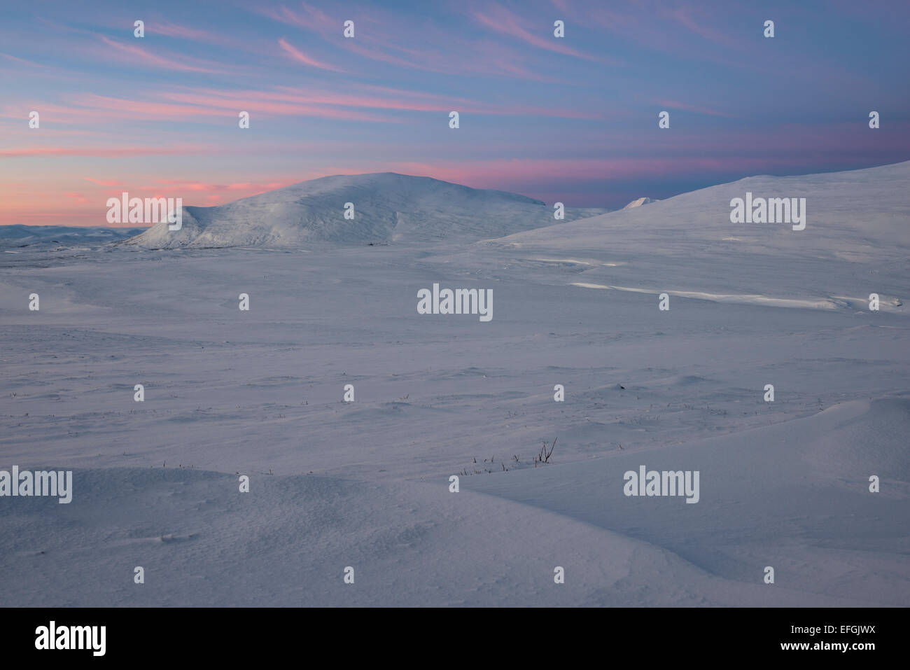 Fjell en hiver, ciel nuageux ciel du matin, Dovrefjell- Sunndalsfjella Parc National, Norvège Banque D'Images