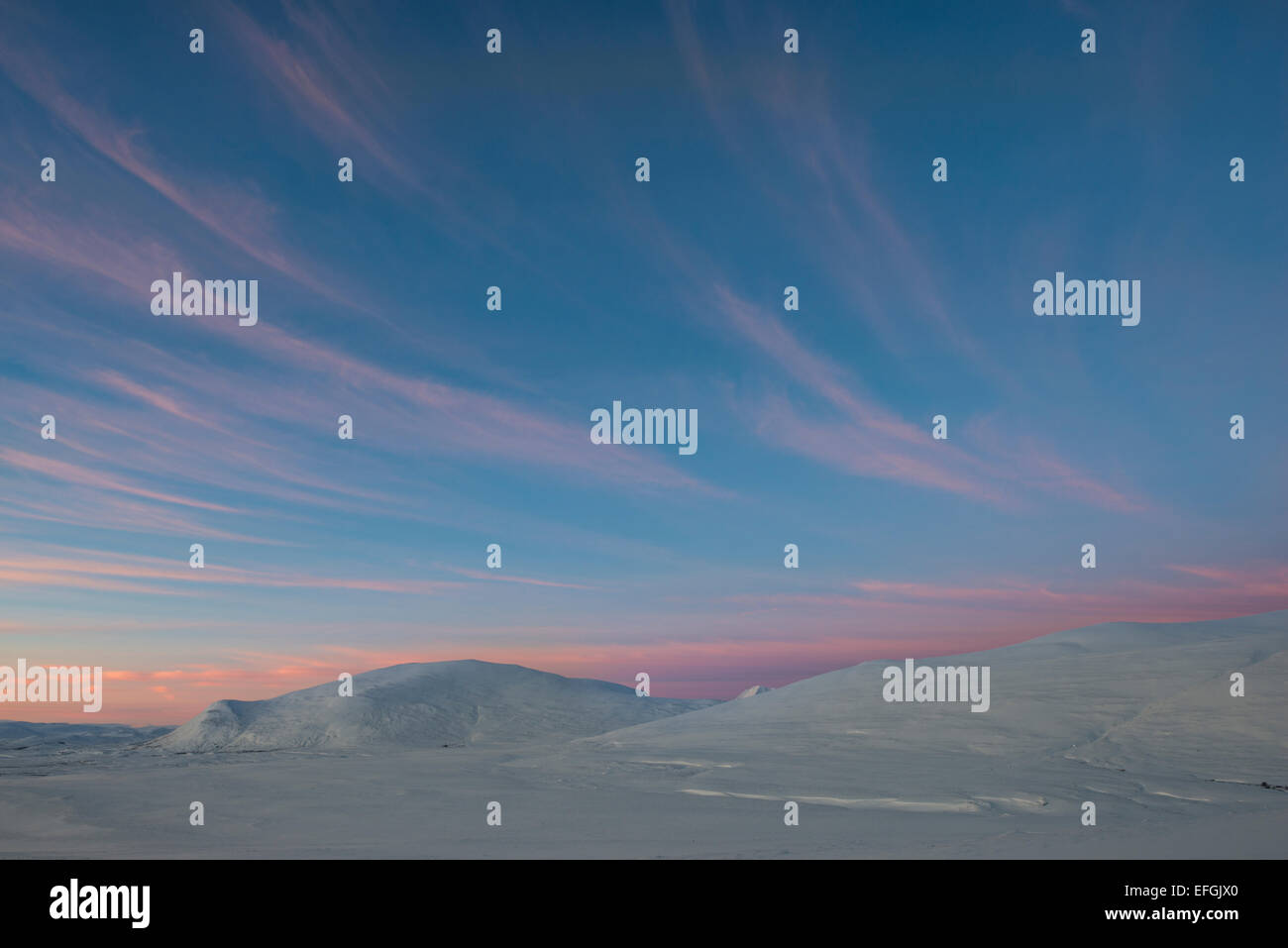 Fjell en hiver, ciel nuageux ciel du matin, Dovrefjell- Sunndalsfjella Parc National, Norvège Banque D'Images