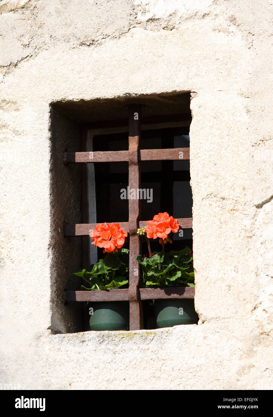 Petite fenêtre avec la floraison des géraniums, Fischerkirche Église, la rouille sur le lac de Neusiedl, Burgenland, Autriche Banque D'Images