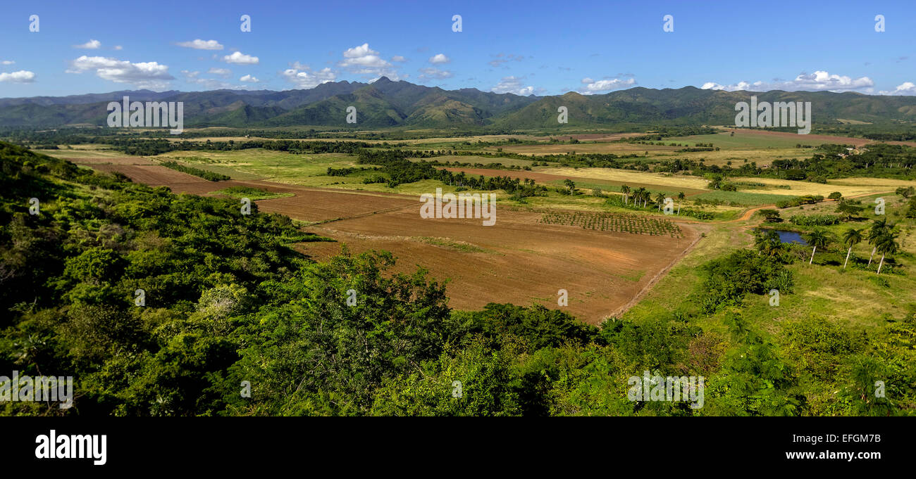 Vue du Mirador, Lookout, au cours de la Valle de los Ingenios, province de Sancti Spiritus, Cuba Banque D'Images