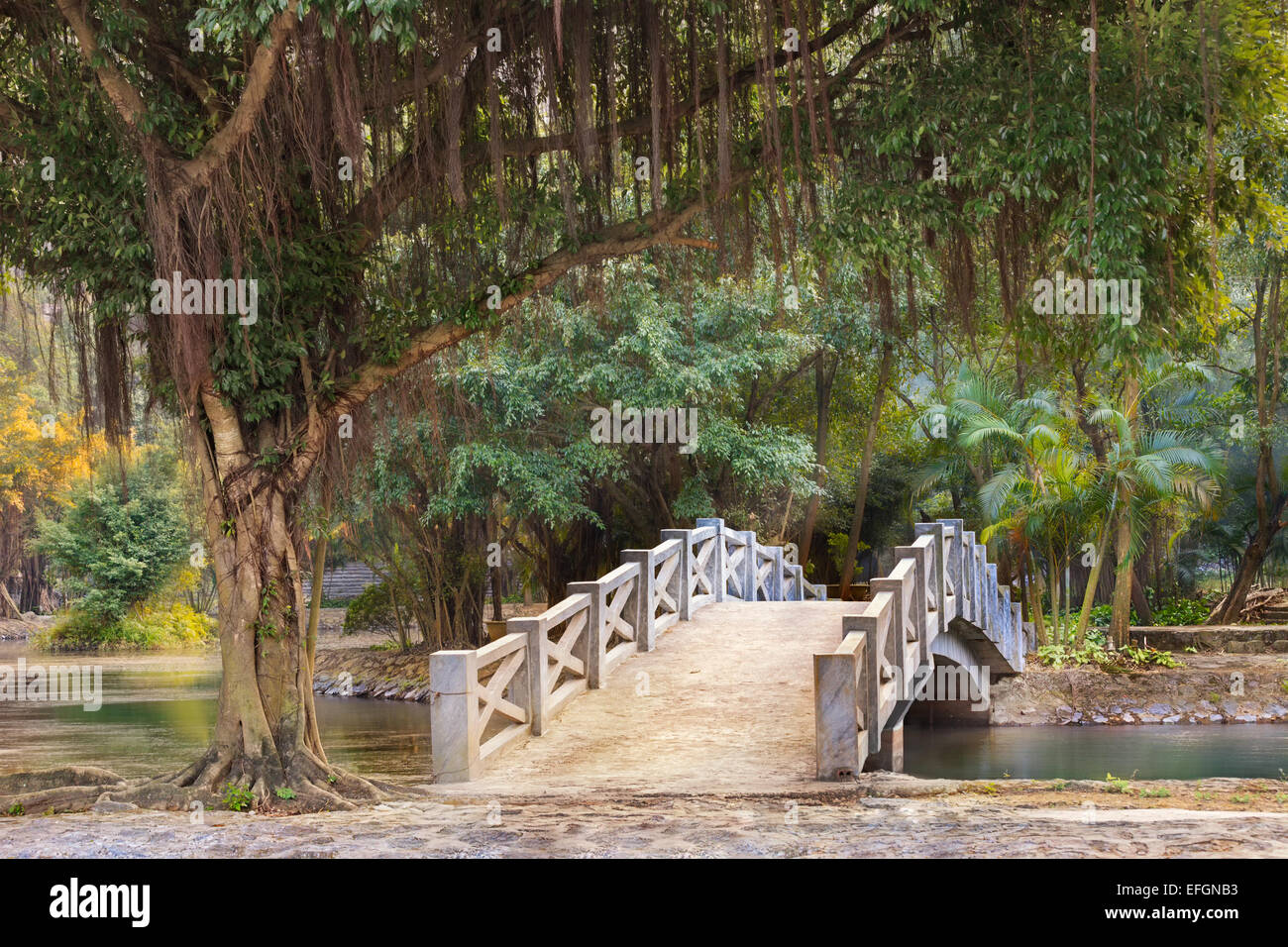 Jardin tropical de l'Asie, Ninh Binh, Vietnam Banque D'Images