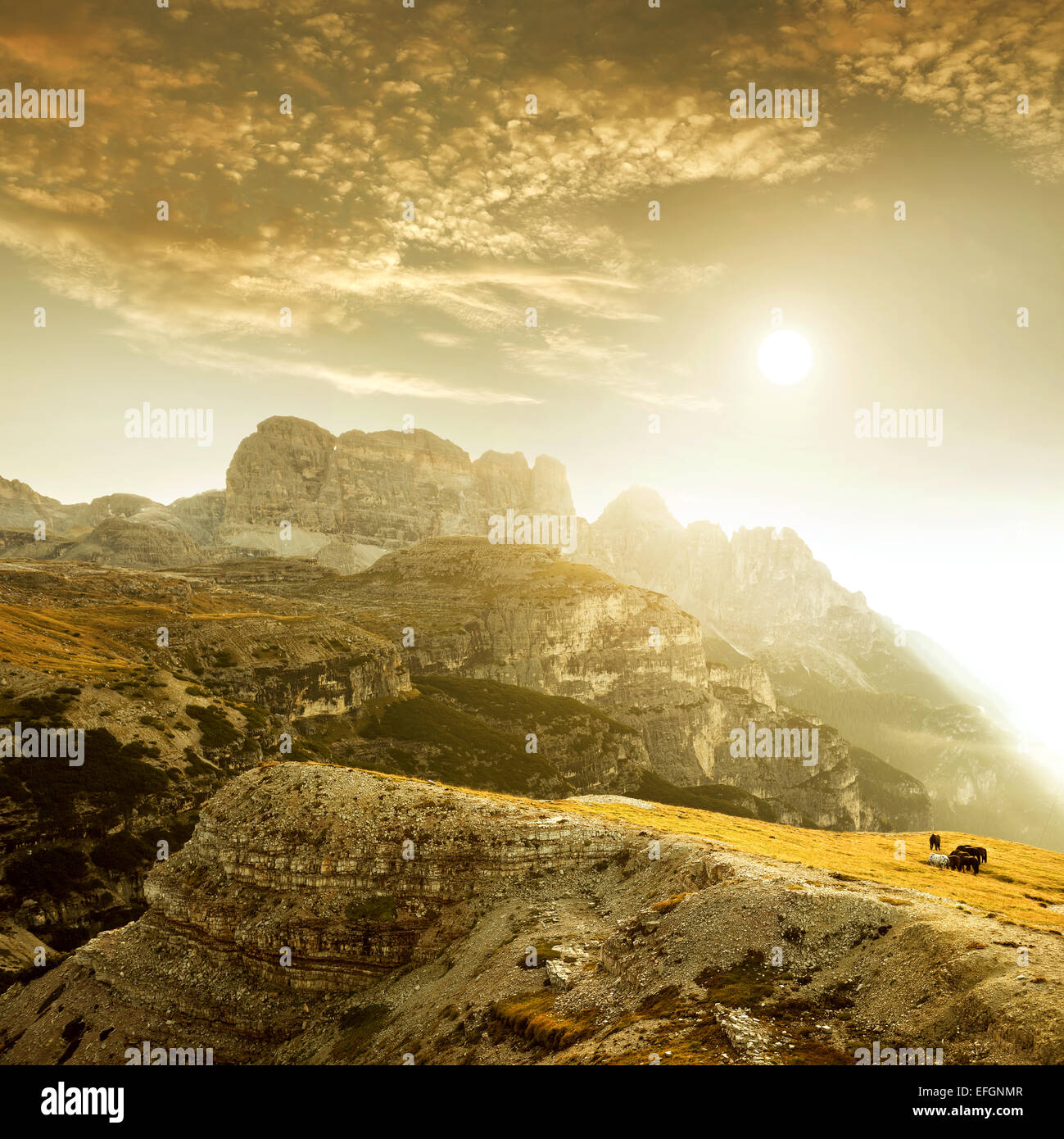 L'Italie, Dolomites - Paysage au lever du soleil le pâturage de chevaux tachetés seul sur les rochers Banque D'Images