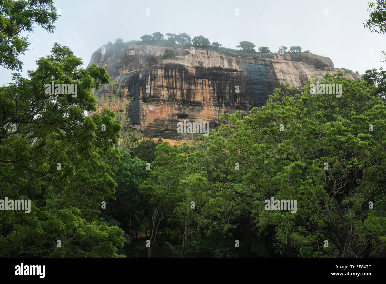 Le Rocher du Lion sur un matin brumeux en saison humide des pluies, Sigiriya, Sri Lanka,rock,unesco,cave,Animaux,Lion,en plein air,Rock,grands Banque D'Images