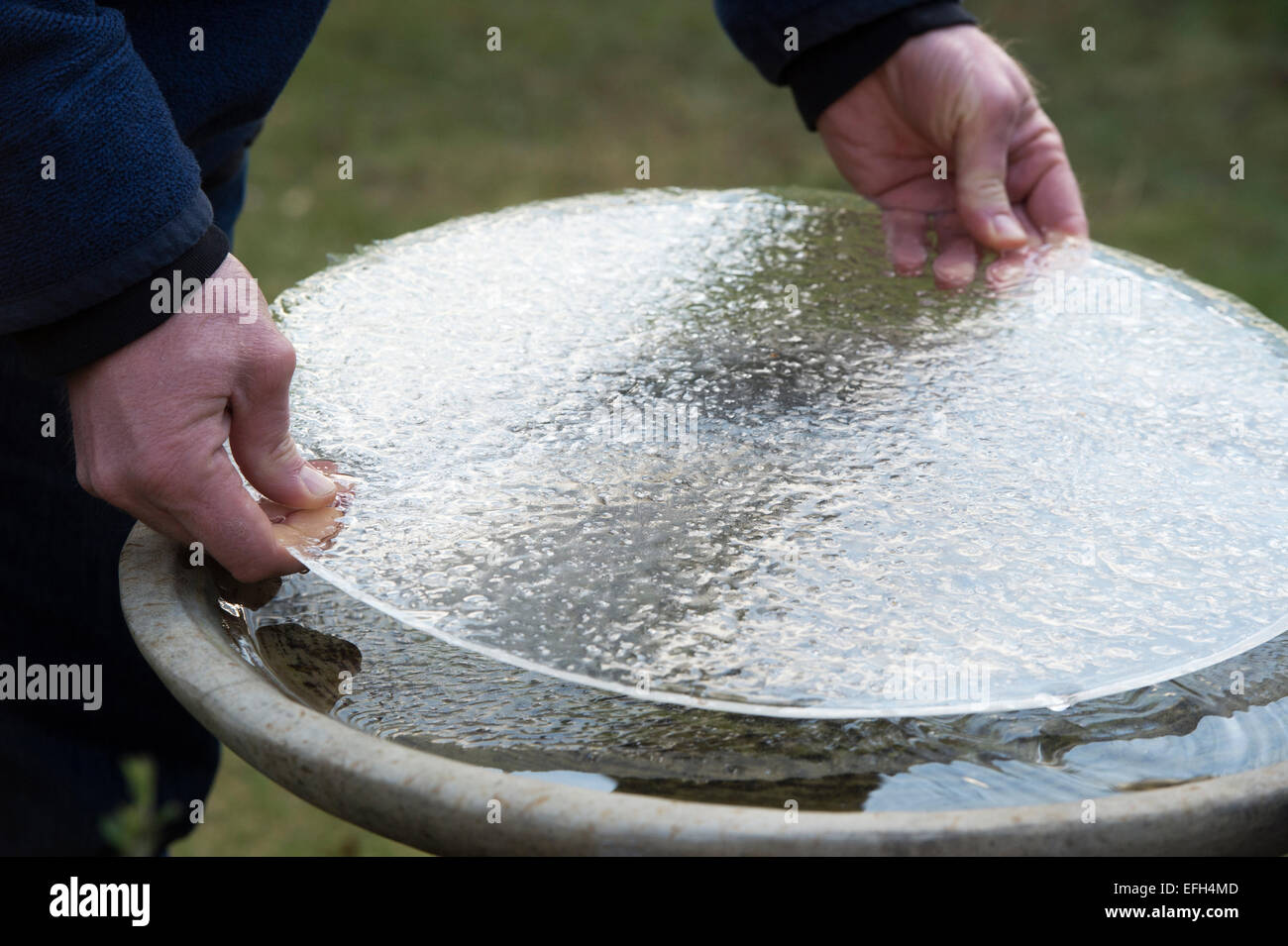L'homme dépose une couche de glace d'un birdbath en hiver. UK Banque D'Images