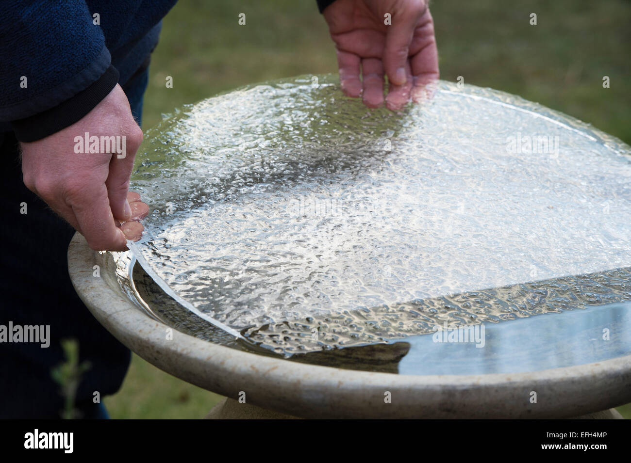 L'homme dépose une couche de glace d'un birdbath en hiver. UK Banque D'Images