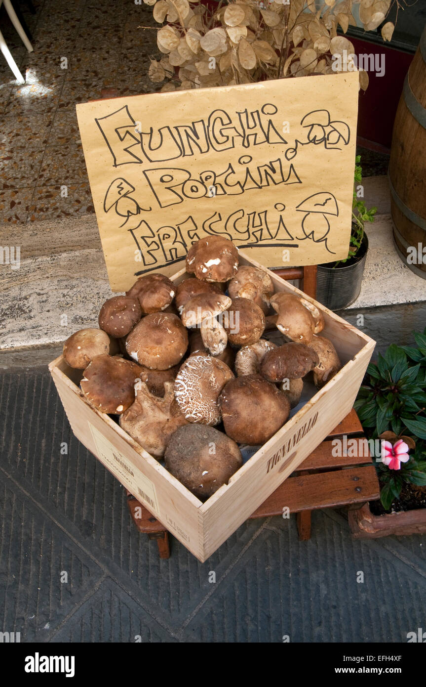 Italie, Toscane, Arezzo, champignons porcini, Restaurant Banque D'Images