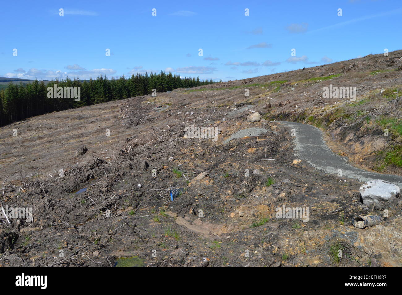 Des sentiers de VTT de Kielder. Nouvelle construction sur Kersey Cleugh après clearfell. Banque D'Images