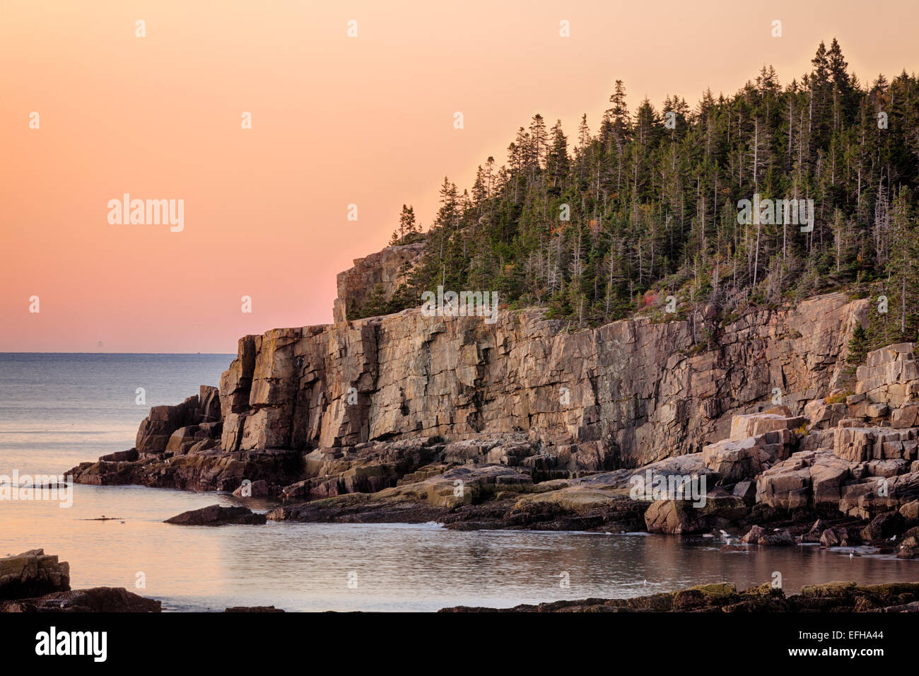 Le lever du soleil, Otter Cliff, l'Acadia National Park, Maine, USA Banque D'Images