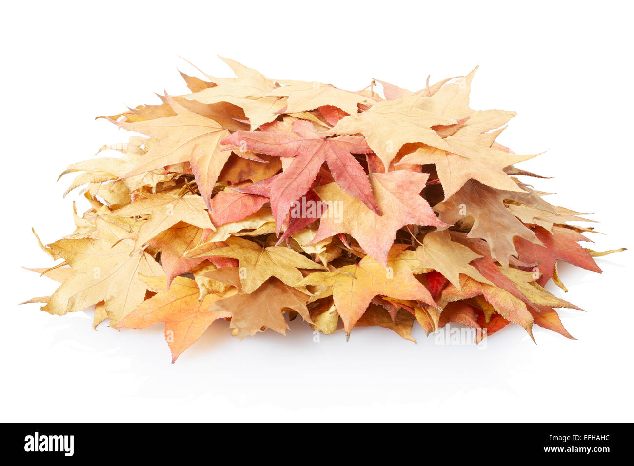 Pile de feuilles d'automne Banque D'Images