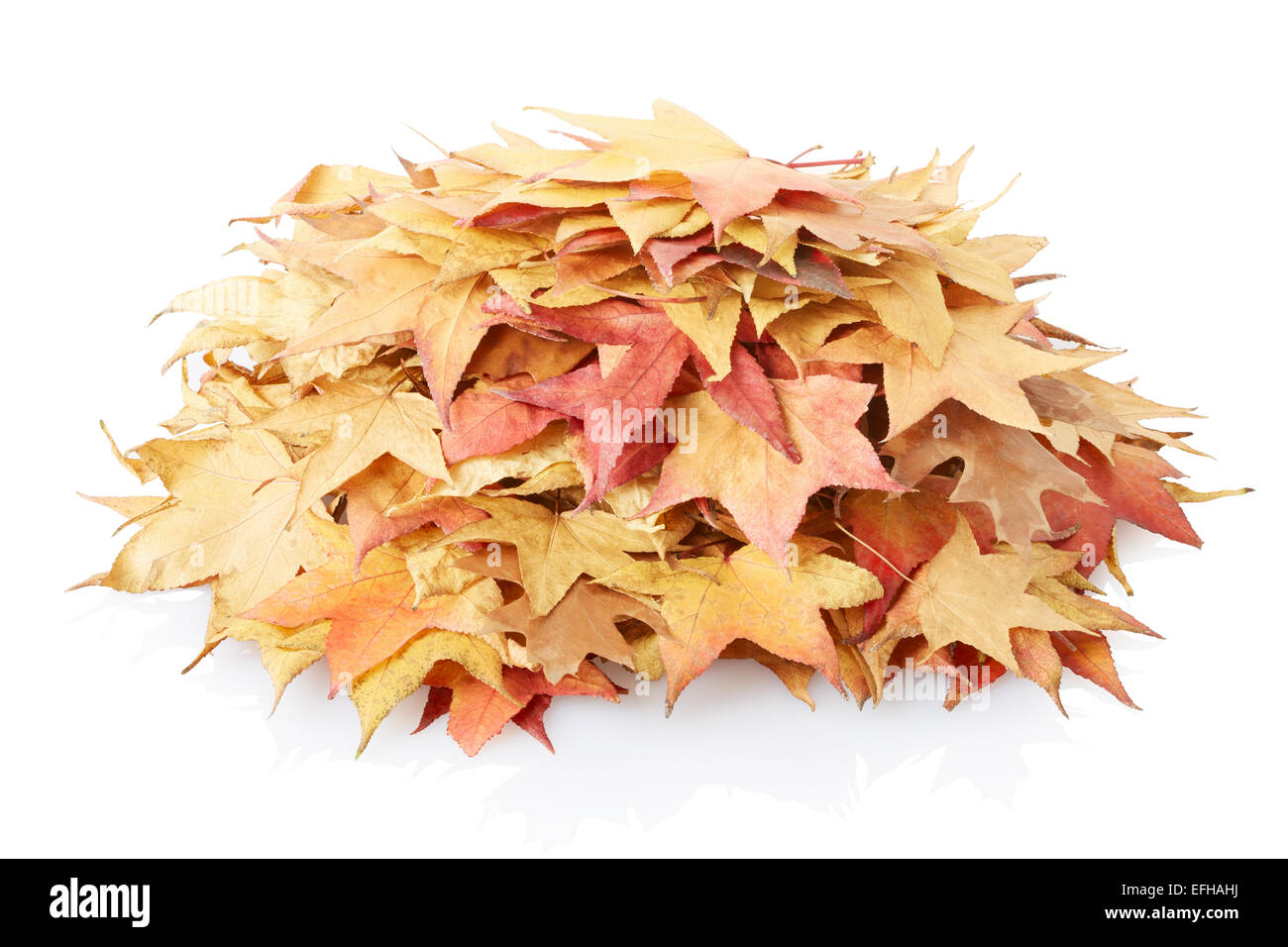 Les feuilles d'automne heap Banque D'Images