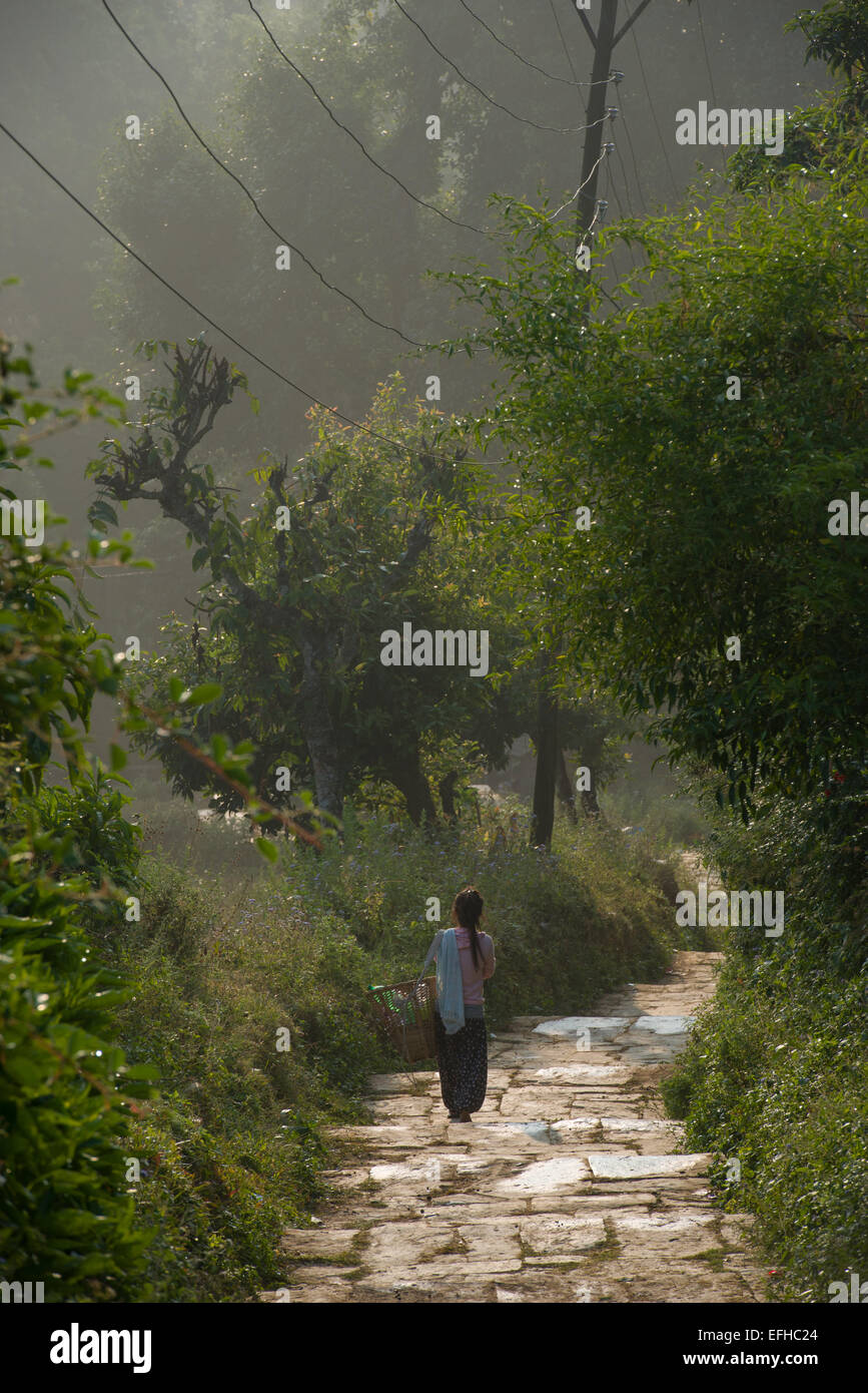 Jeune femme marchant dans un sentier menant du village perché de Bandipur, Népal Banque D'Images