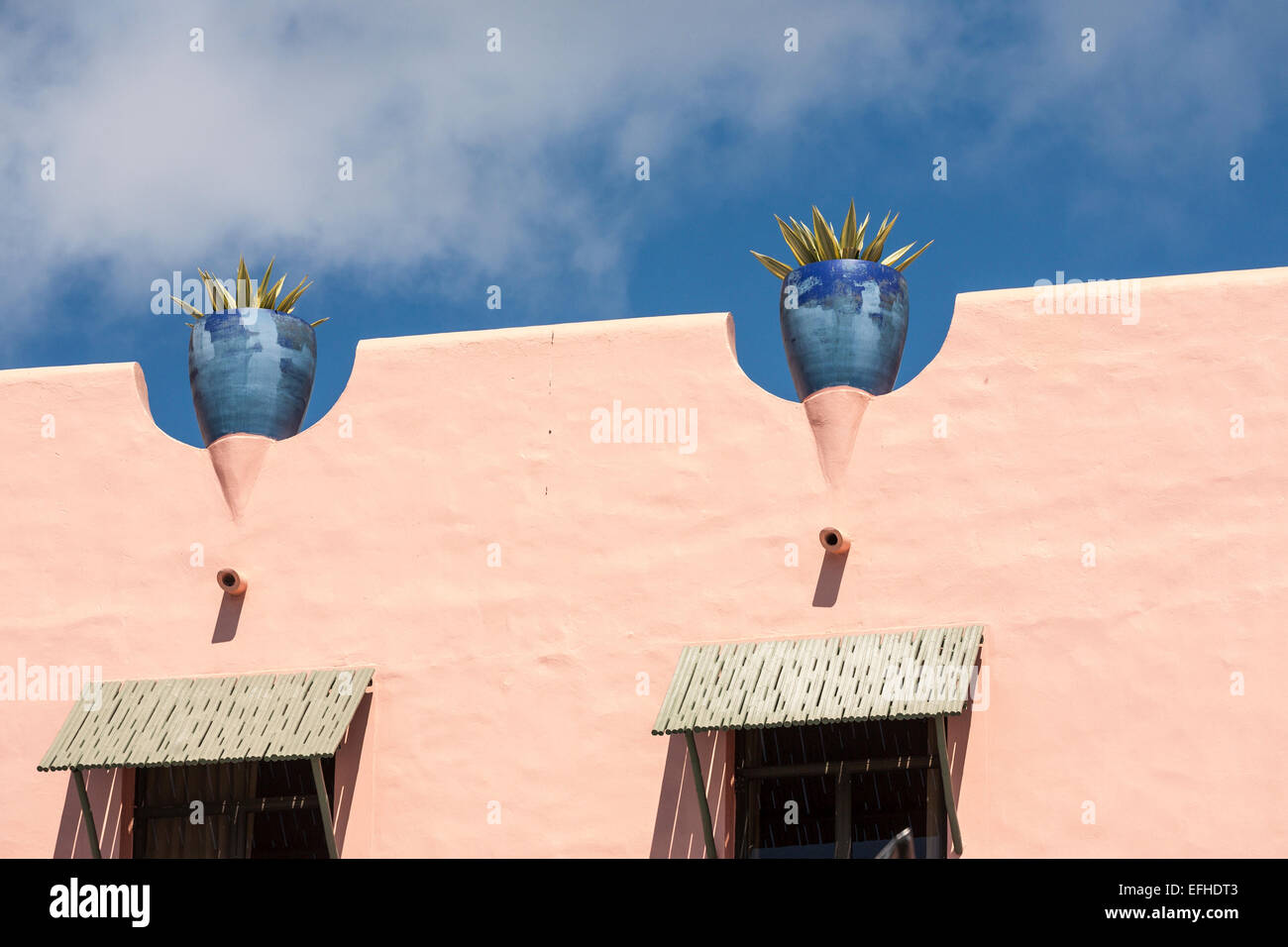 Deux jardinières décorent le toit de l'Hôtel Royal Hawaiian. Les plantes épineuses fournissent un contrepoint aux contours mur lisse Banque D'Images