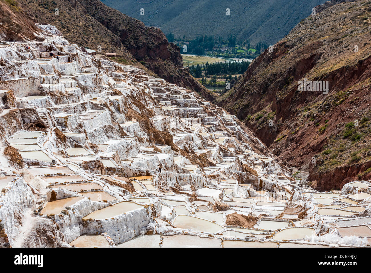 Mines de sel de Maras dans les Andes péruviennes à Cuzco au Pérou Banque D'Images