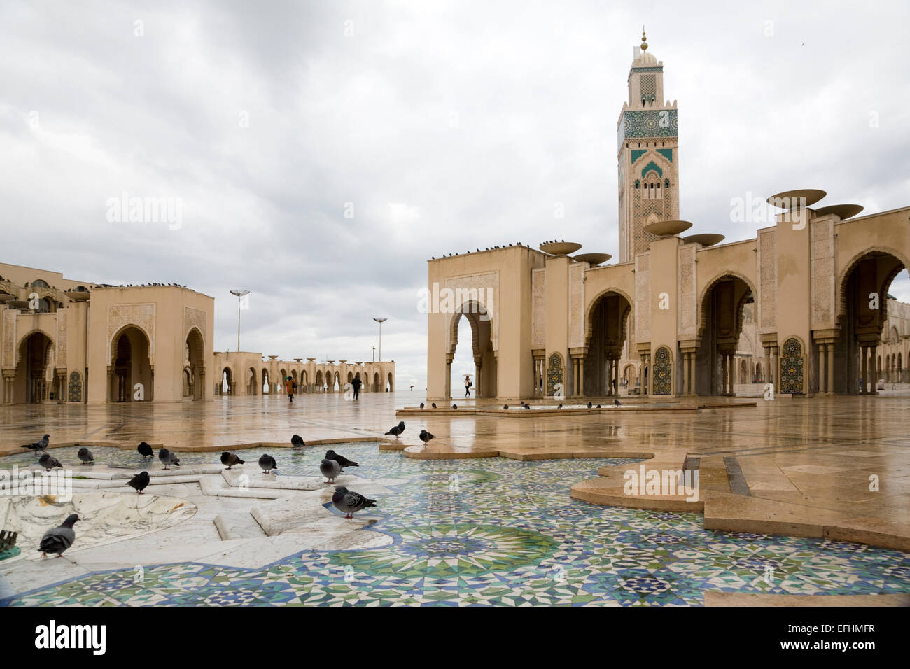 Les pigeons en face de la mosquée Hassan II, Casablanca, Maroc Banque D'Images