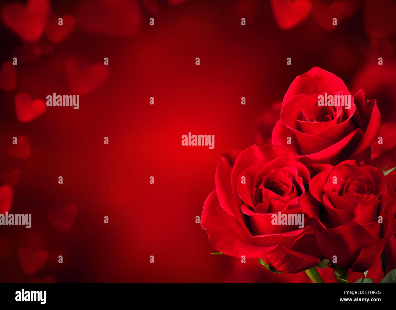 Bouquet de rose rouge Banque de photographies et d'images à haute  résolution - Alamy