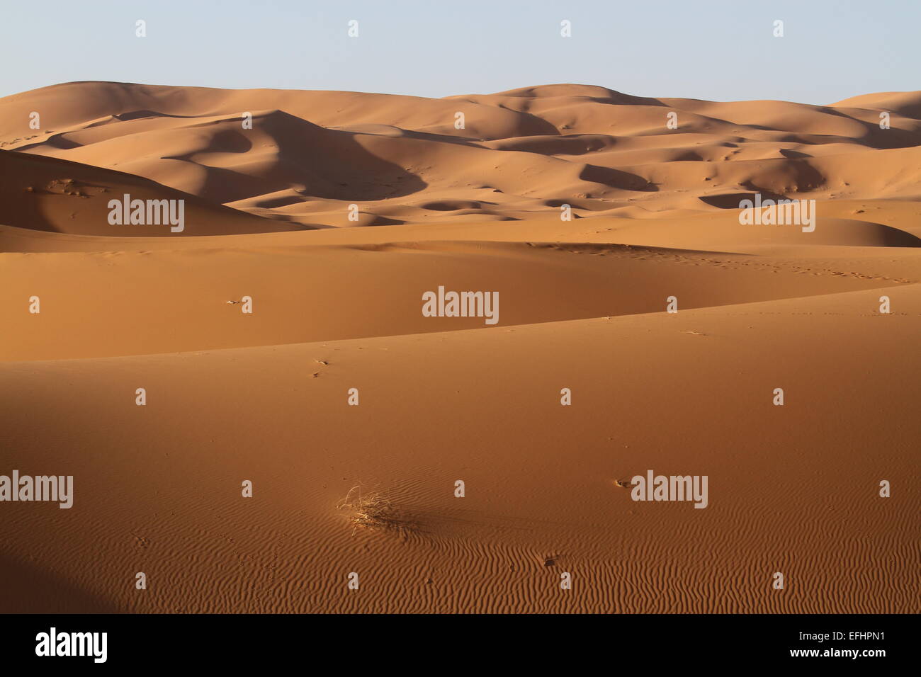 Dunes de sable du désert du Sahara Maroc Banque D'Images