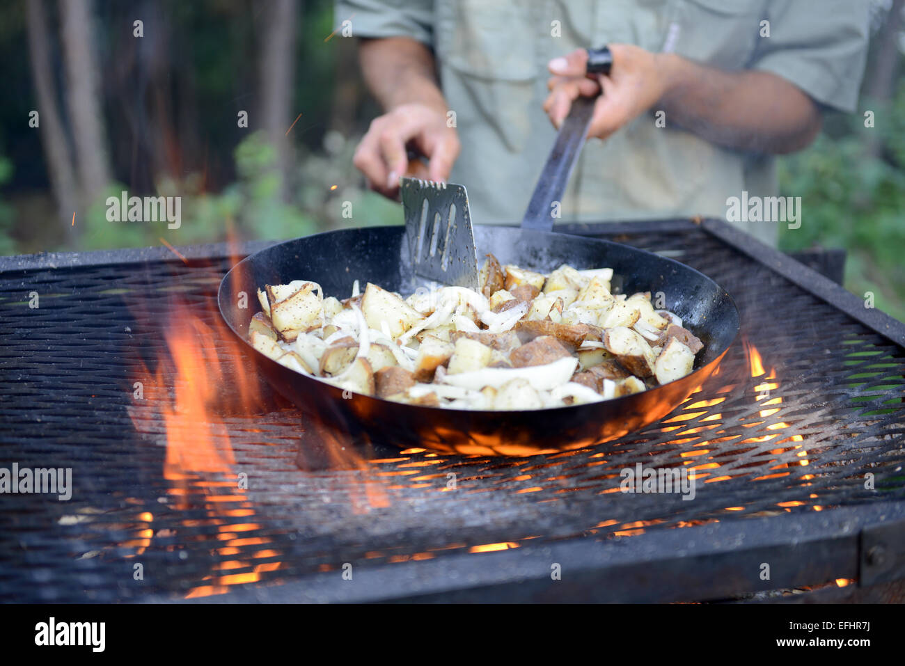 Barbecue au bord du lac, en Saskatchewan, Canada Banque D'Images