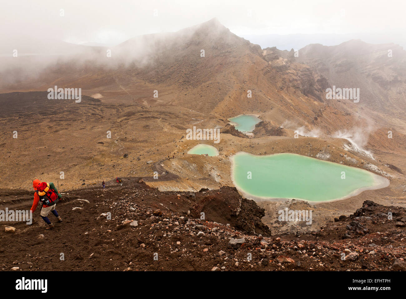 Randonnée à travers les champs de lave et de gravier, passé des eaux vert émeraude, turquoise Alpine Tongariro Crossing, Parc National de Tongariro, Isl Nord Banque D'Images