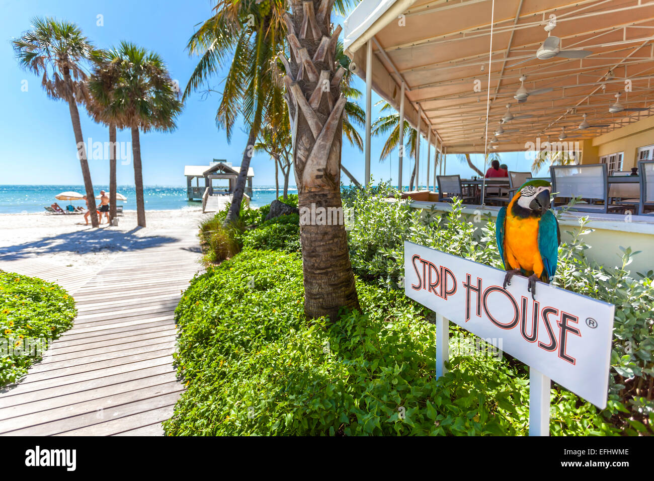 Impression au Restaurant Gastronomique le Strip House, Reach Resort, Key West, Florida Keys, USA Banque D'Images