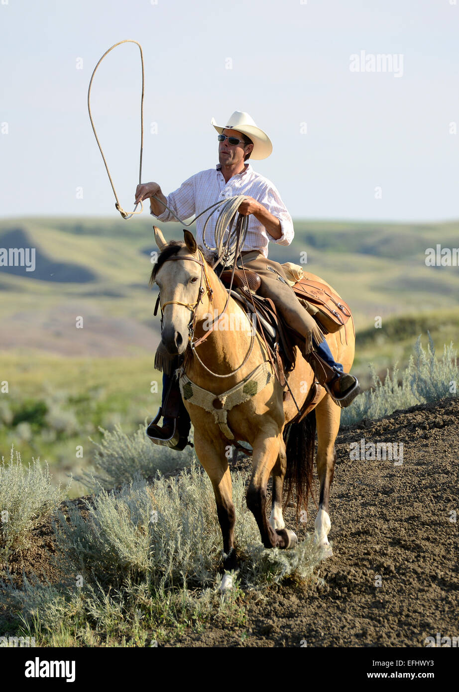 George Gaber, propriétaire de la Reata Ranch, Région des Prairies, en Saskatchewan, Canada. Banque D'Images