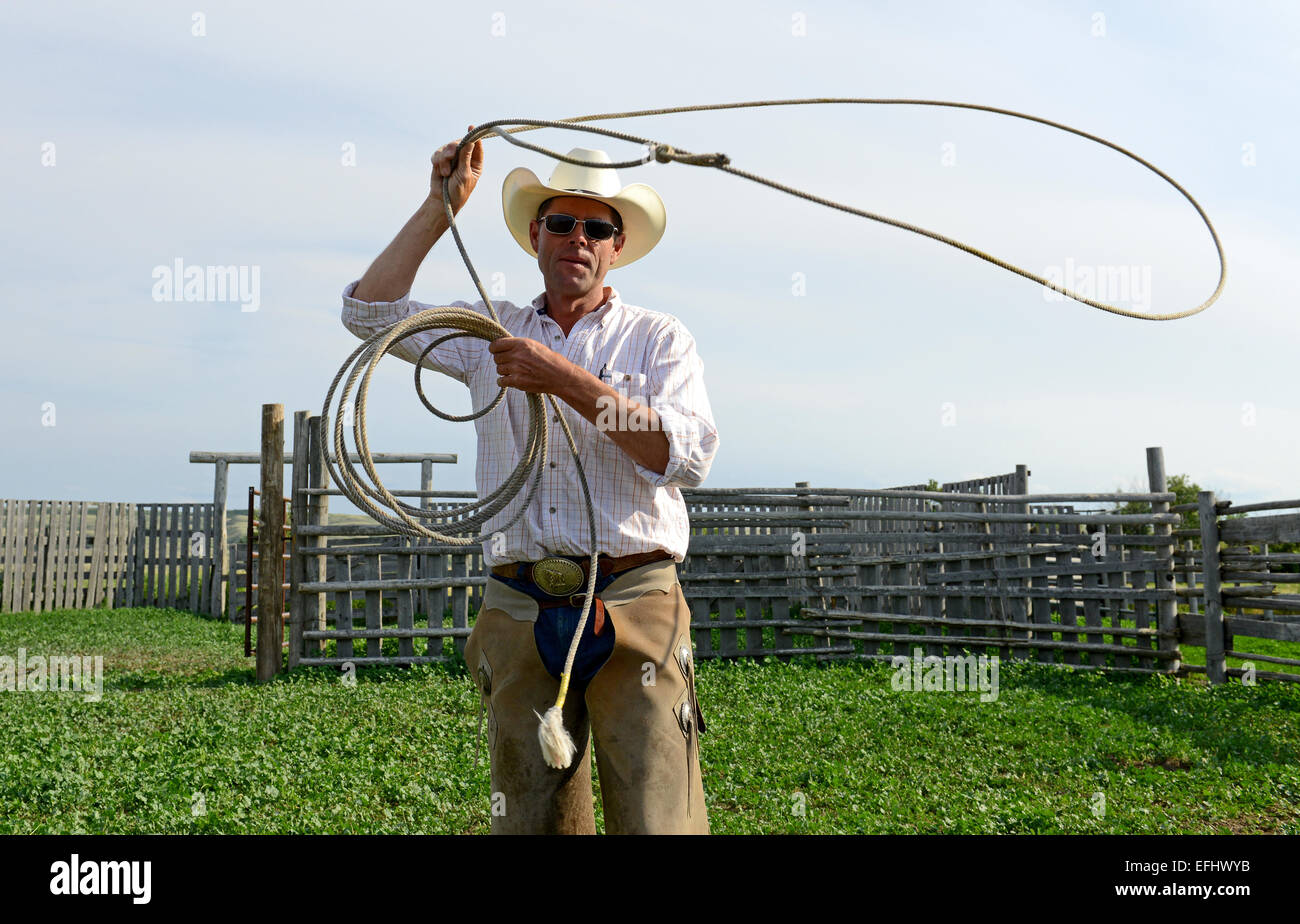 Cowboy avec lasso, George Gaber, propriétaire de la Reata Ranch, Saskatchewan, Canada Banque D'Images