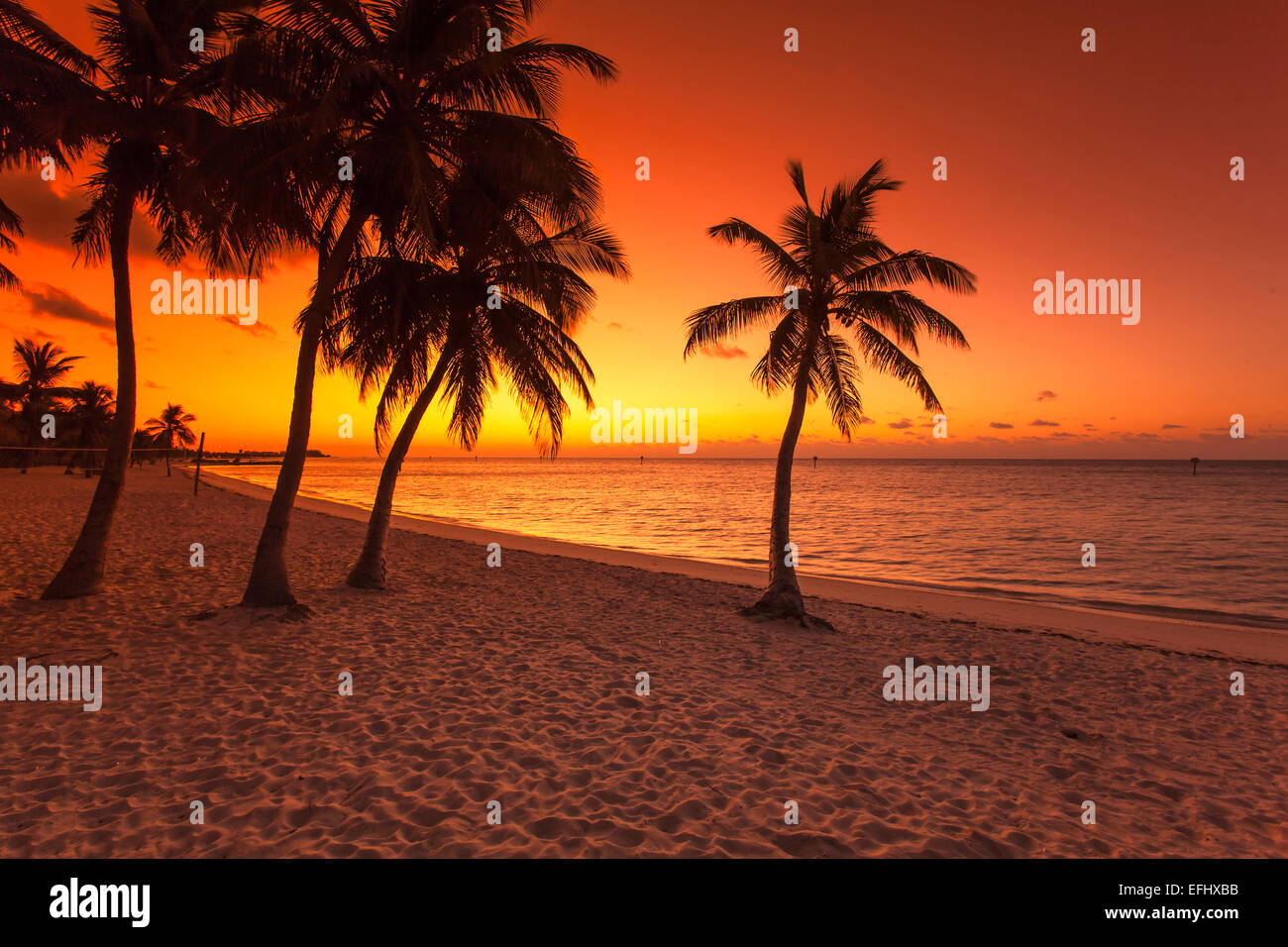 Impression du matin au lever du soleil sur Key West Smathers Beach, Key West, Florida Keys, Floride, USA Banque D'Images