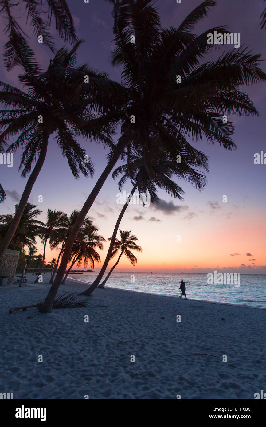 L'aube sur Key West Smathers Beach, Key West, Florida Keys, Floride, USA Banque D'Images