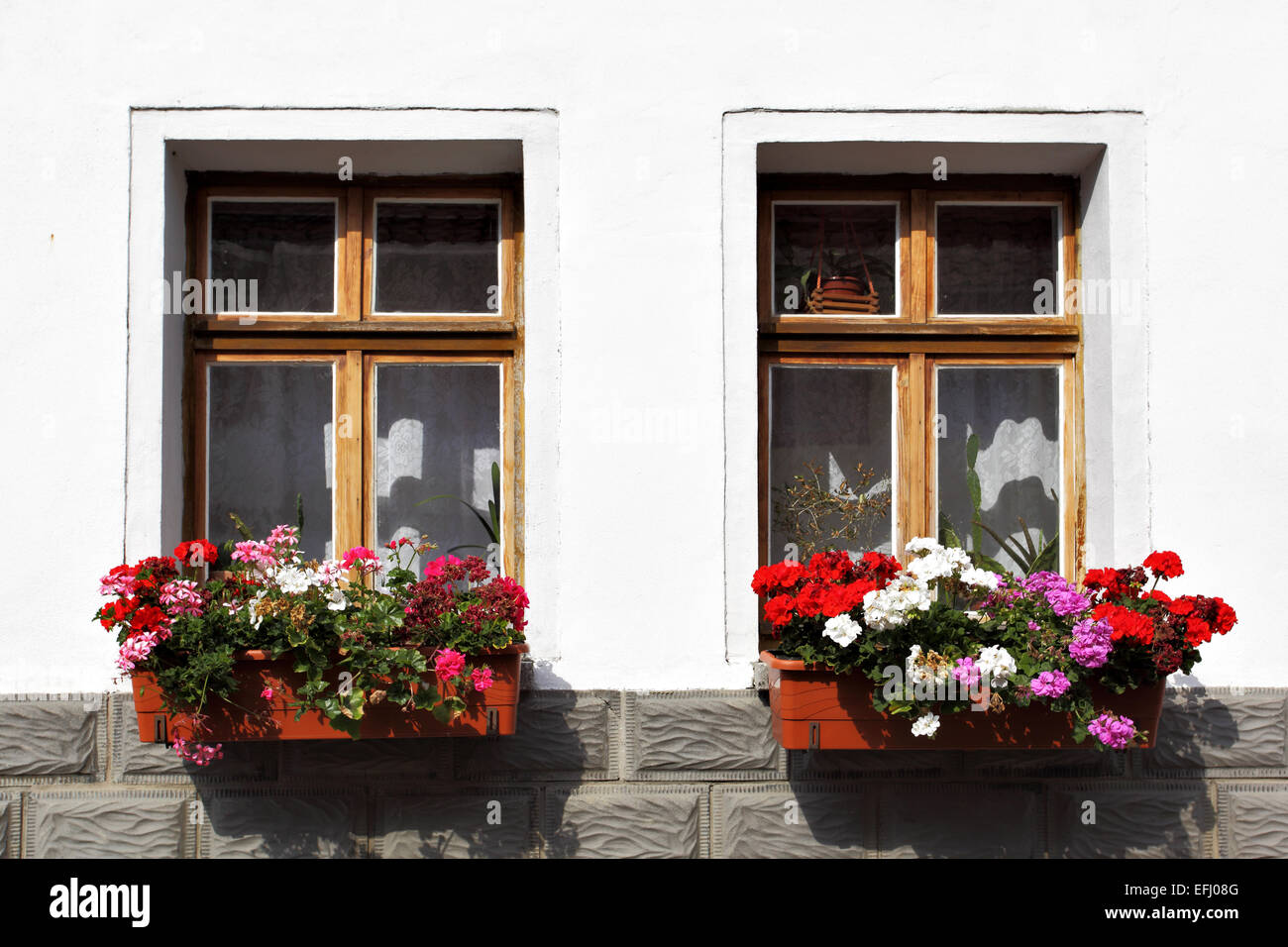Fenêtre d'ancienne maison de fleurs, Allemagne Banque D'Images