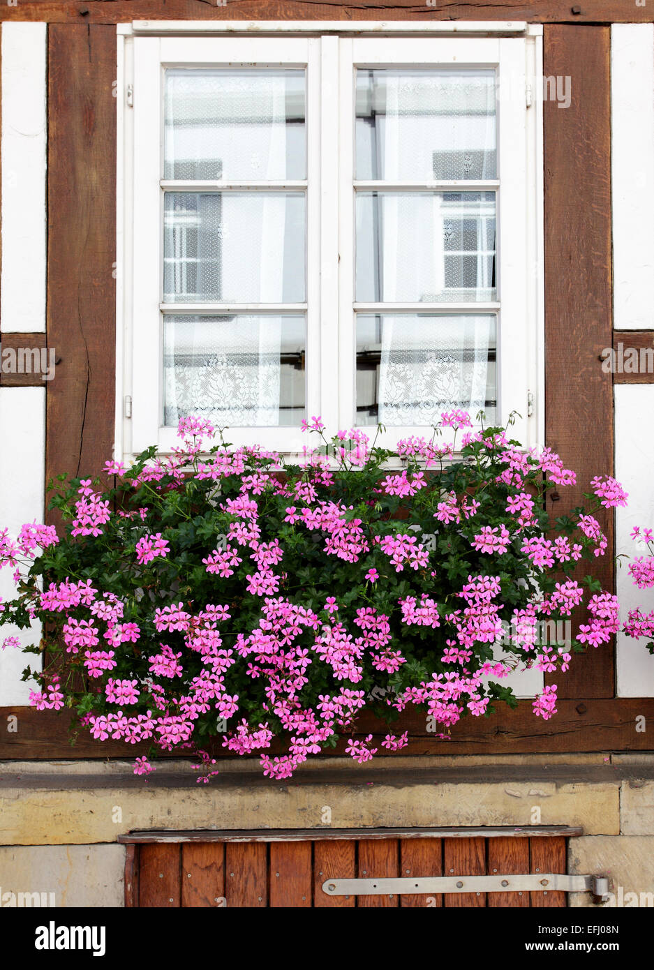 Maison ancienne de Windows avec des fleurs, Allemagne Banque D'Images