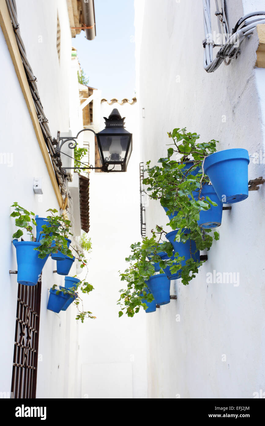 Rue étroite avec des fleurs à Cordoba Banque D'Images