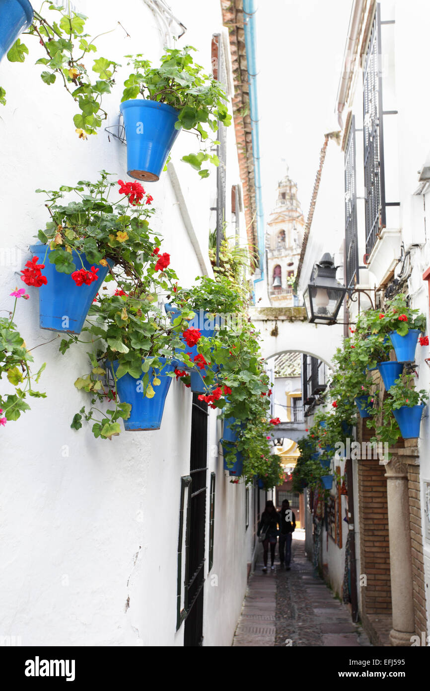 Rue étroite avec des fleurs à Cordoba Banque D'Images