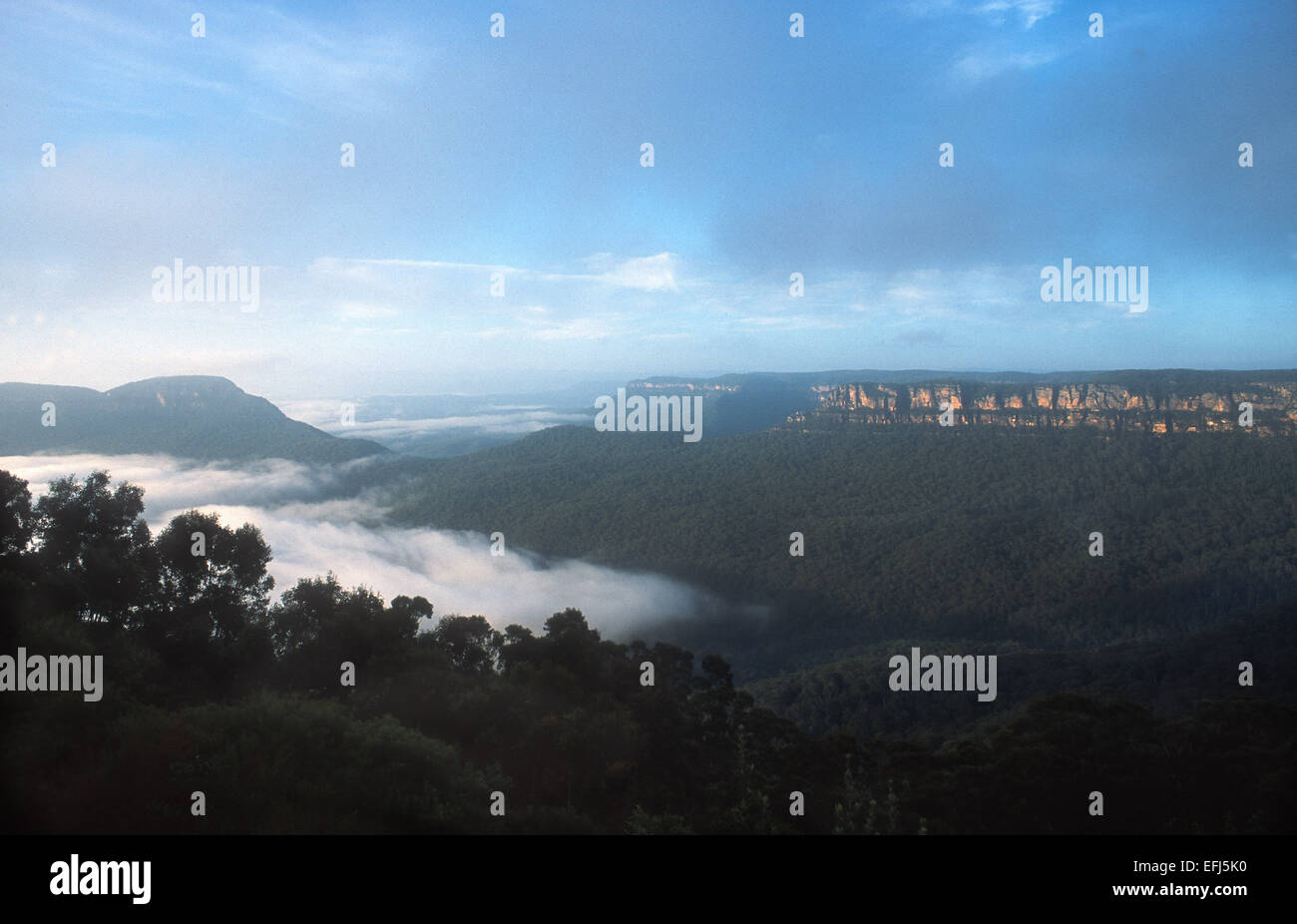 Une vue sur la magnifique vallée Jamison, situé dans la région de Blue Mountains National Park, New South Wales, Australie Banque D'Images