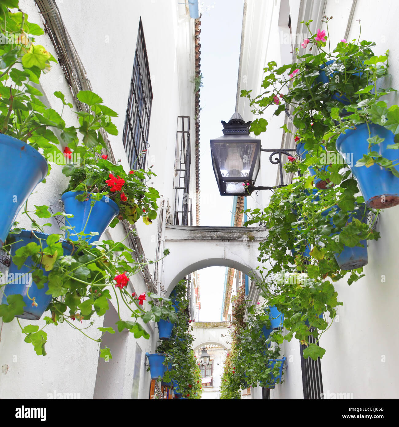 Rue étroite avec des fleurs à Cordoue (calleja de las Flores) Banque D'Images
