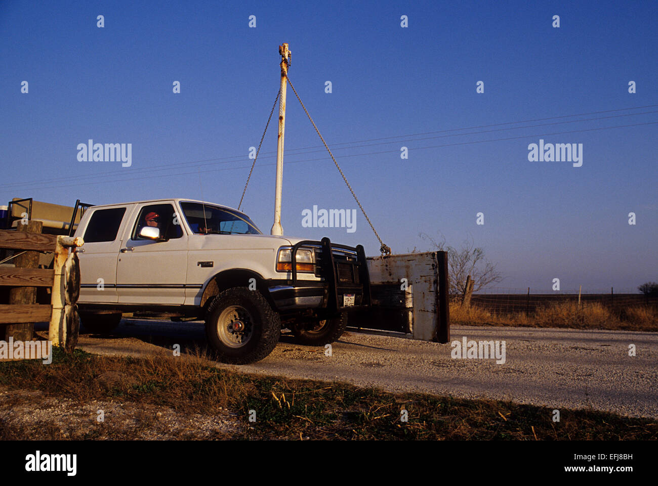 Chasseurs dans leur camion traverser une bosse gate alors que la chasse de la caille sur le King Ranch dans le sud du Texas Banque D'Images