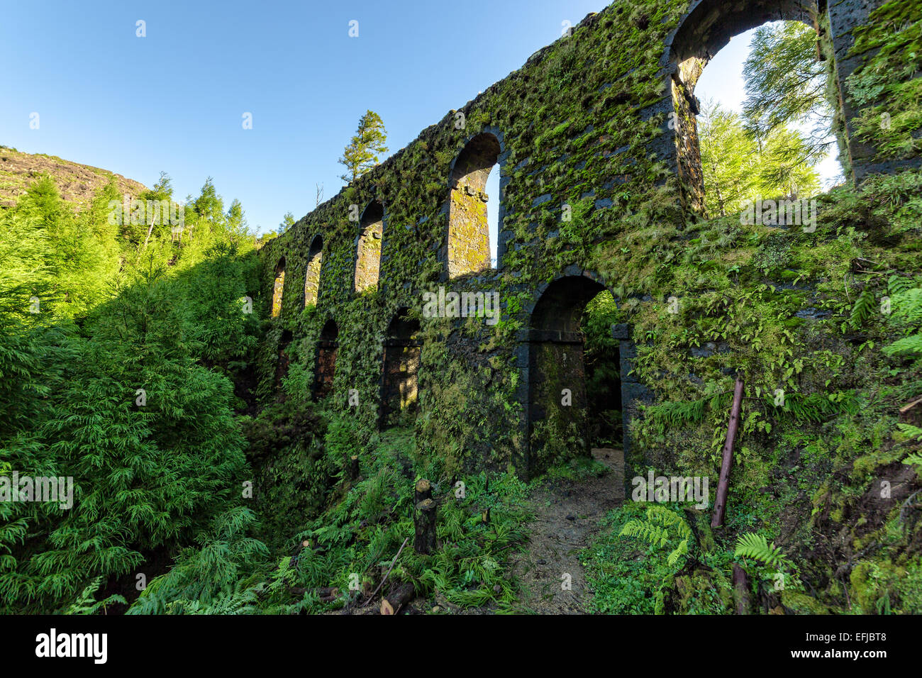 Vieux Mur de pierre dans l'aqueduc de la forêt, journée ensoleillée Banque D'Images