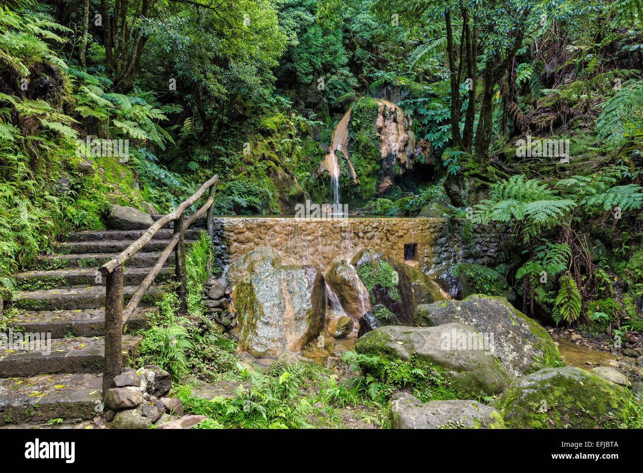 Piscine Hot-Spring en forêt tropicale, Caldeira Velha Açores Banque D'Images