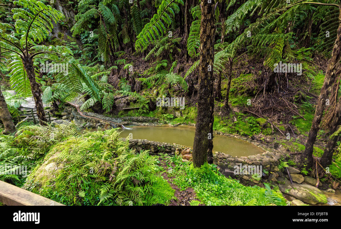 Piscine Hot-Spring en forêt tropicale, Caldeira Velha Açores Banque D'Images