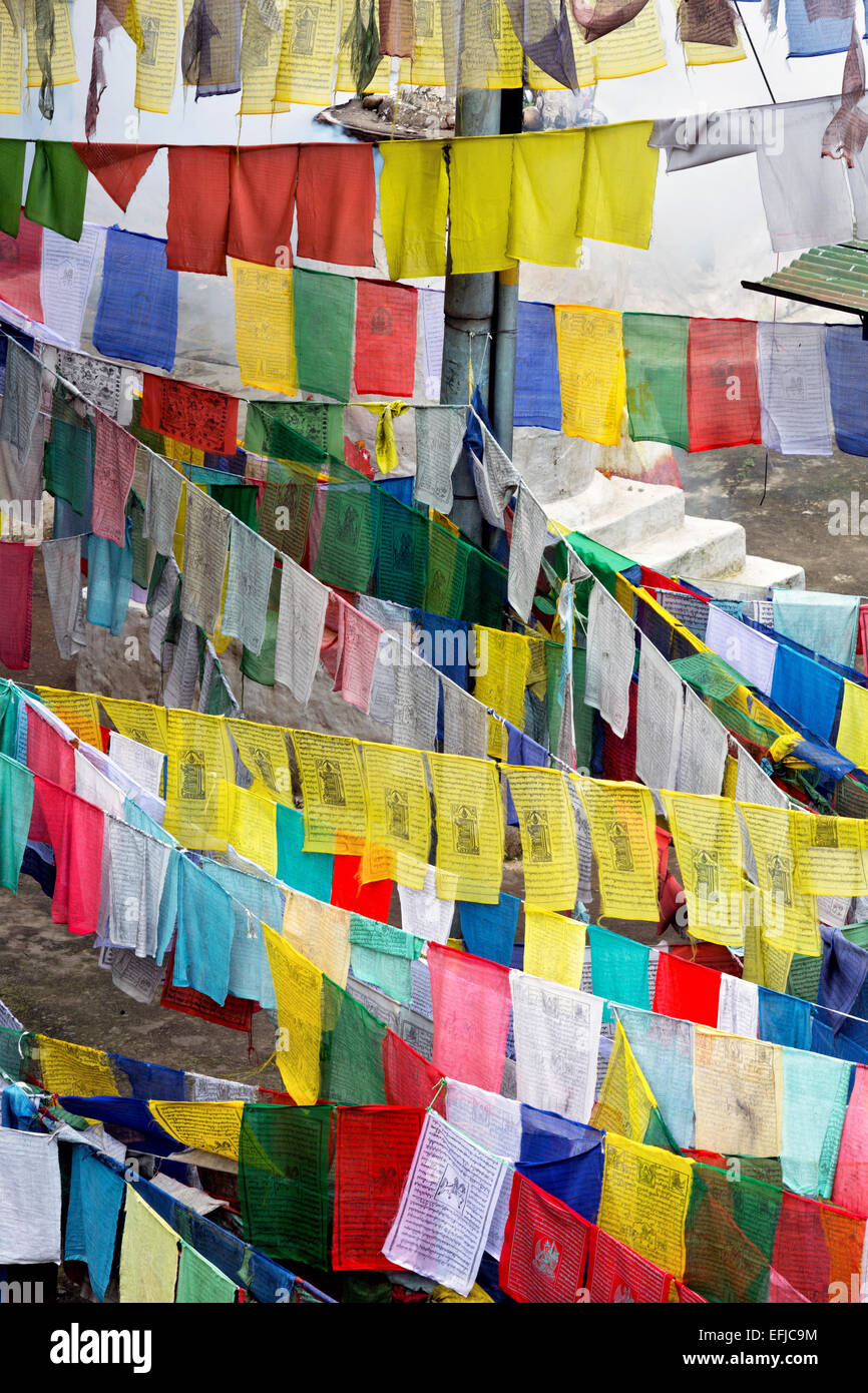BU00029-00...BHOUTAN - les drapeaux de prières masquer Vue d'une petite chorten dans la capitale Thimphu. Banque D'Images BU00029-00...BHOUTAN - les drapeaux de prières masquer Vue d'une petite chorten dans la capitale Thimphu. Banque D'Images