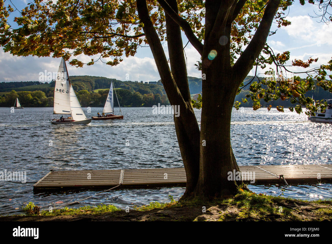 Bateaux à voile sur le lac Baldeneysee', 'rivière Ruhr, régate, voile boat race, Essen, Allemagne, Banque D'Images