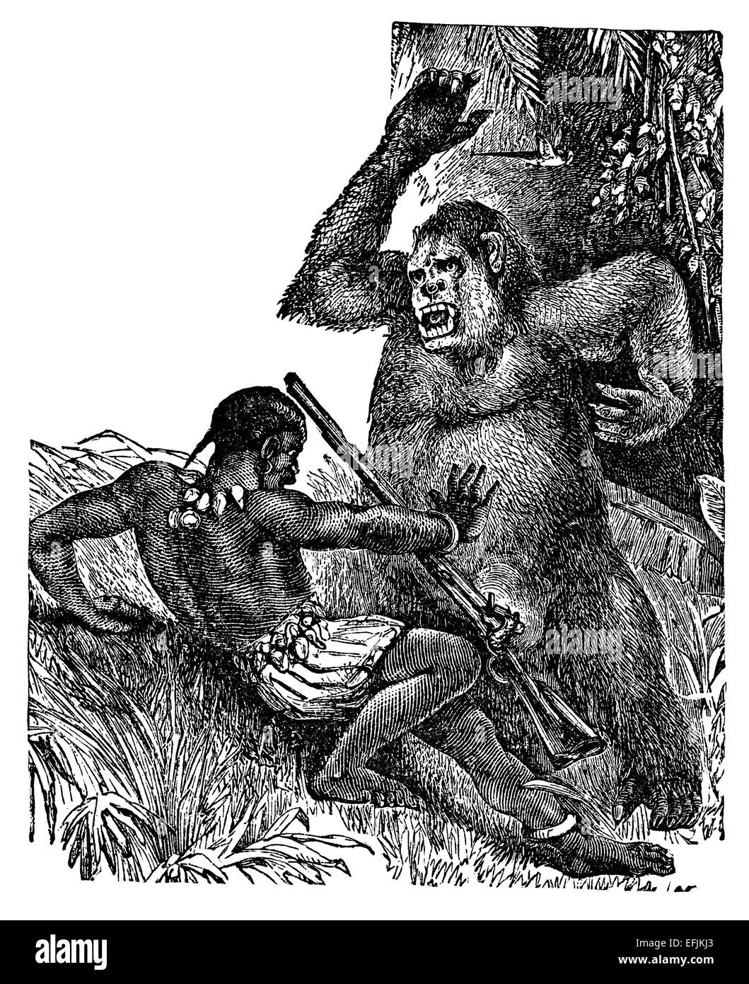 Photographié à partir d'un livre intitulé "Merveilles du monde vu par les grands explorateurs polaires et tropicales" publié à Londres 188 Banque D'Images