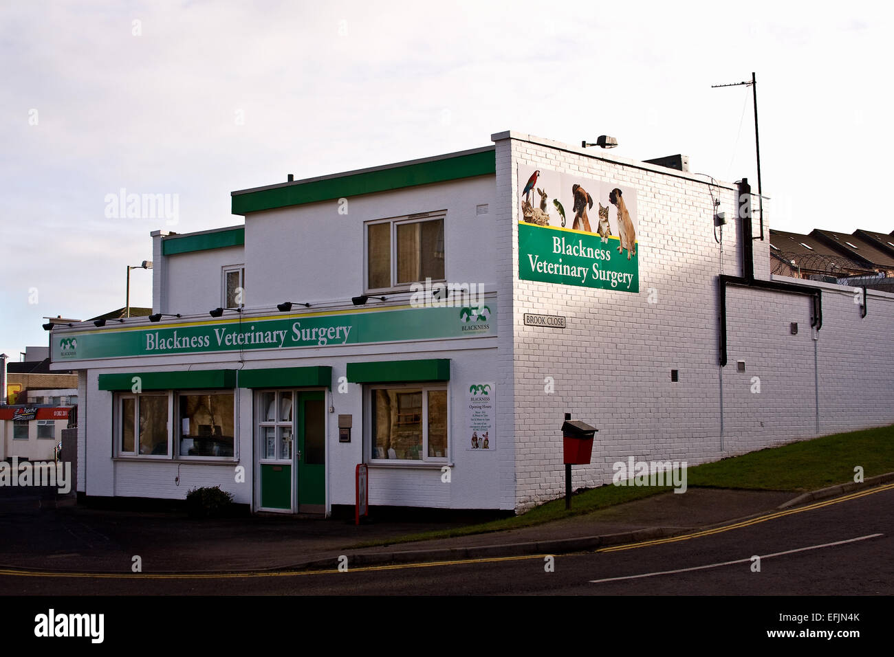La noirceur Chirurgie vétérinaire est situé le long de Brook Street à Dundee, Royaume-Uni Banque D'Images