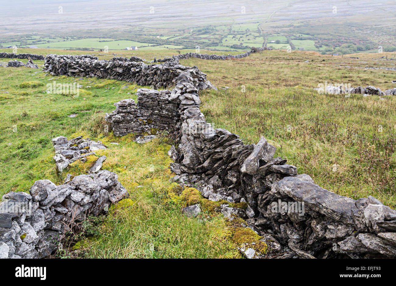 Les murs de pierres sèches sur le Burren, comté de Clare, Irlande Banque D'Images