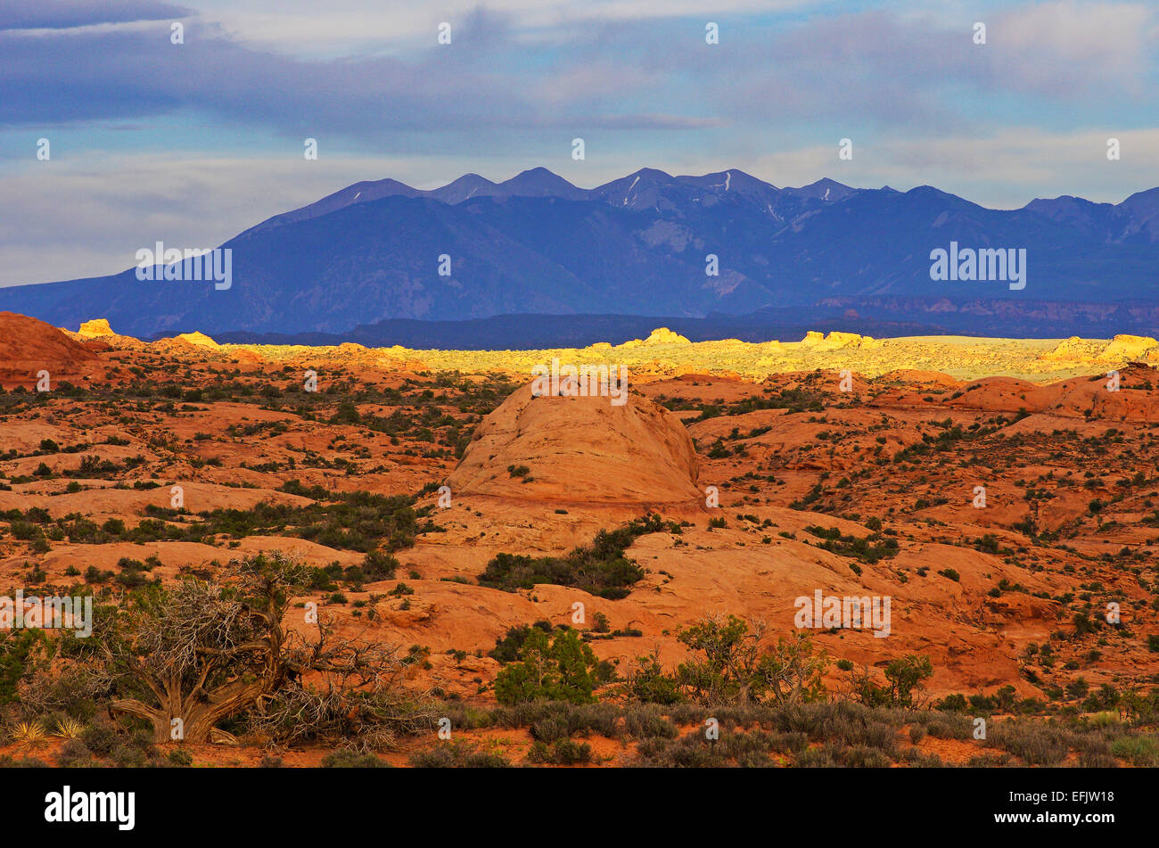Savoir que la zone de dunes pétrifiées, dans Arches National Park, dans la matinée. Banque D'Images