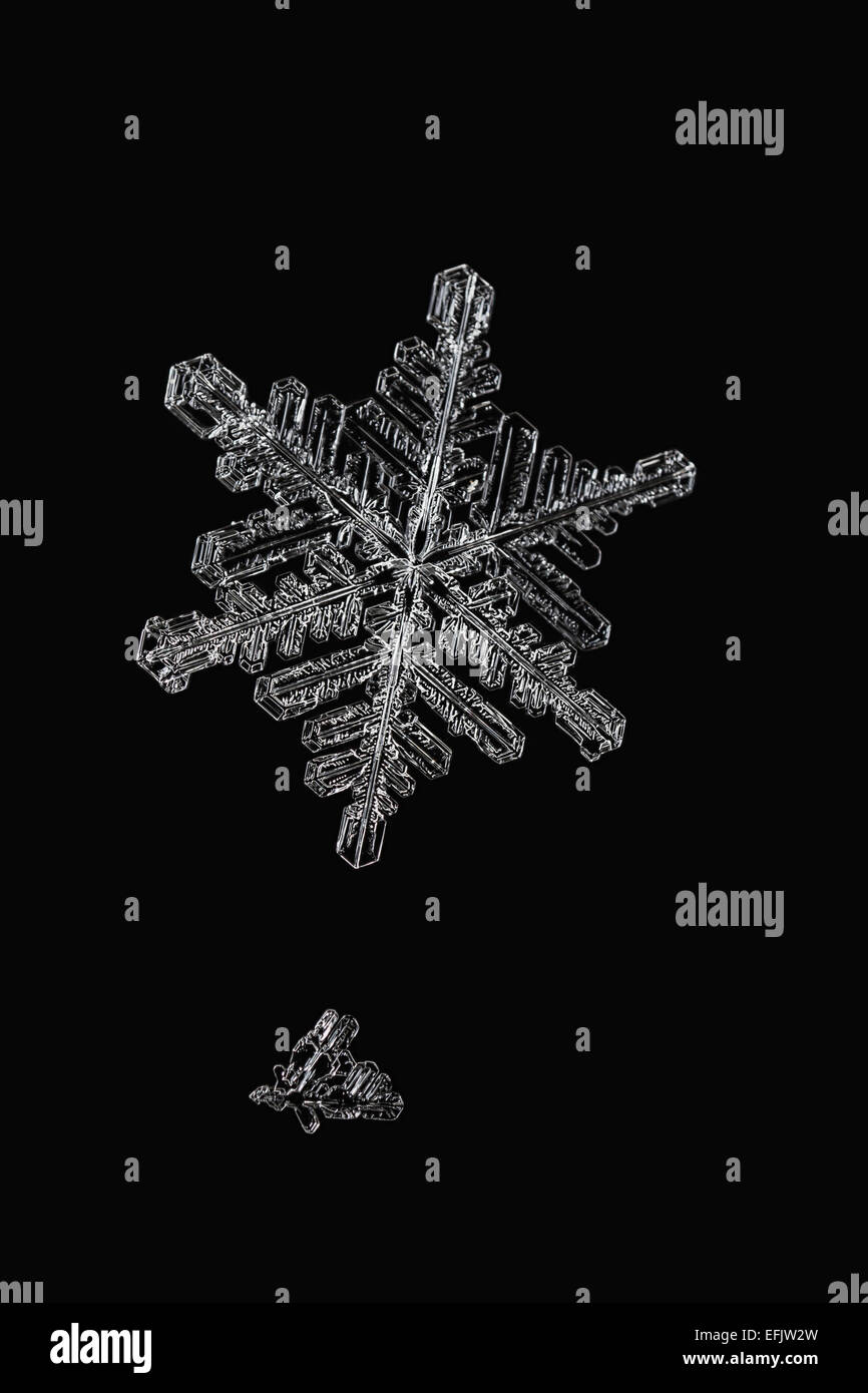 Macro flocon de neige,neige,macro crystal Banque D'Images