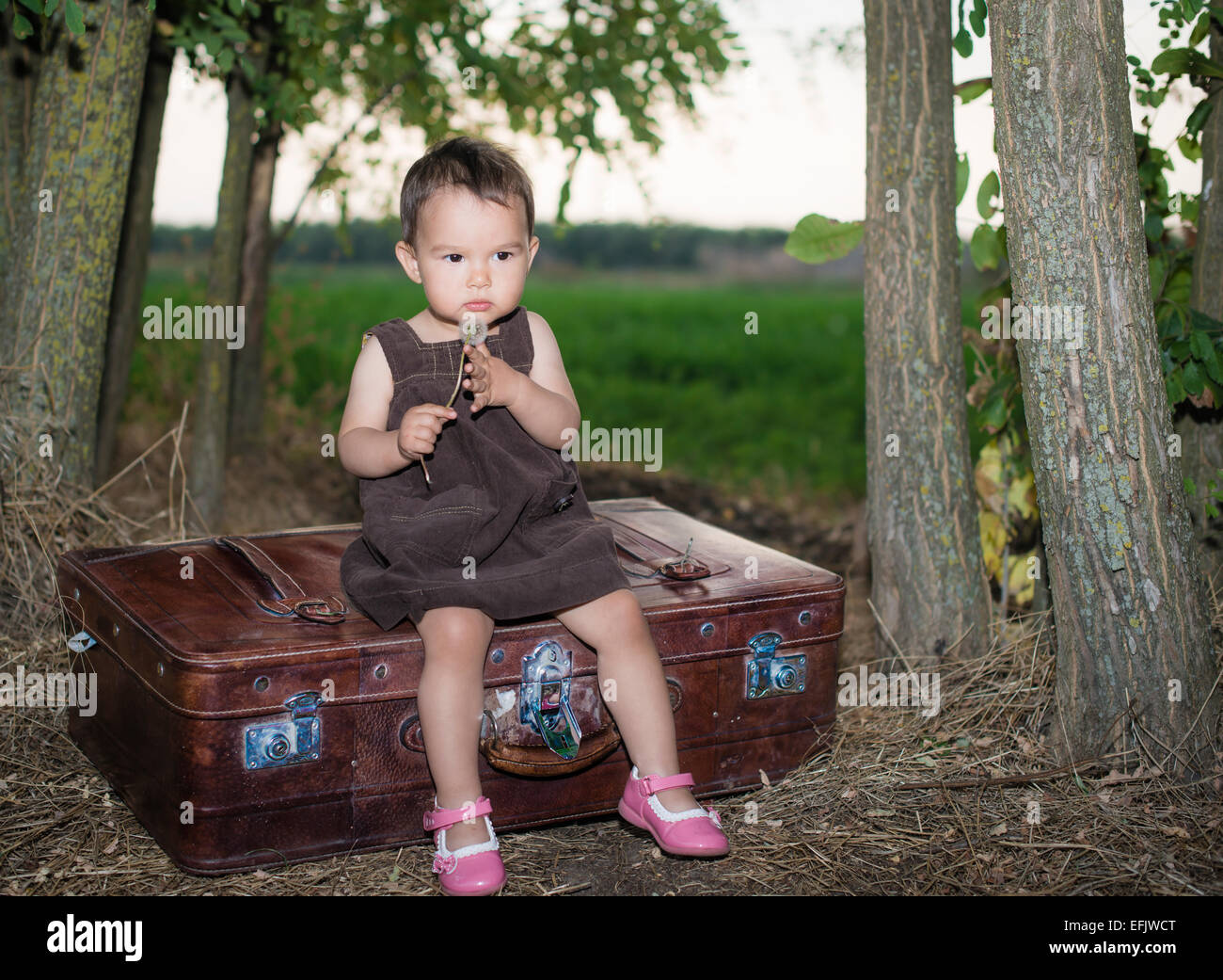 Cute little girl blowing dandelion sur une valise à l'extérieur Banque D'Images