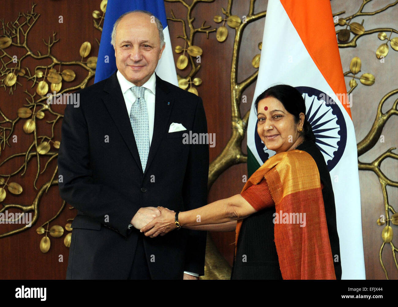 New Delhi. 5e Février, 2015. Le Ministre des affaires étrangères de l'Inde Sushma Swaraj (R) se réunit avec son homologue français Laurent Fabius à New Delhi le 5 février 2015. © Partha Sarkar/Xinhua/Alamy Live News Banque D'Images