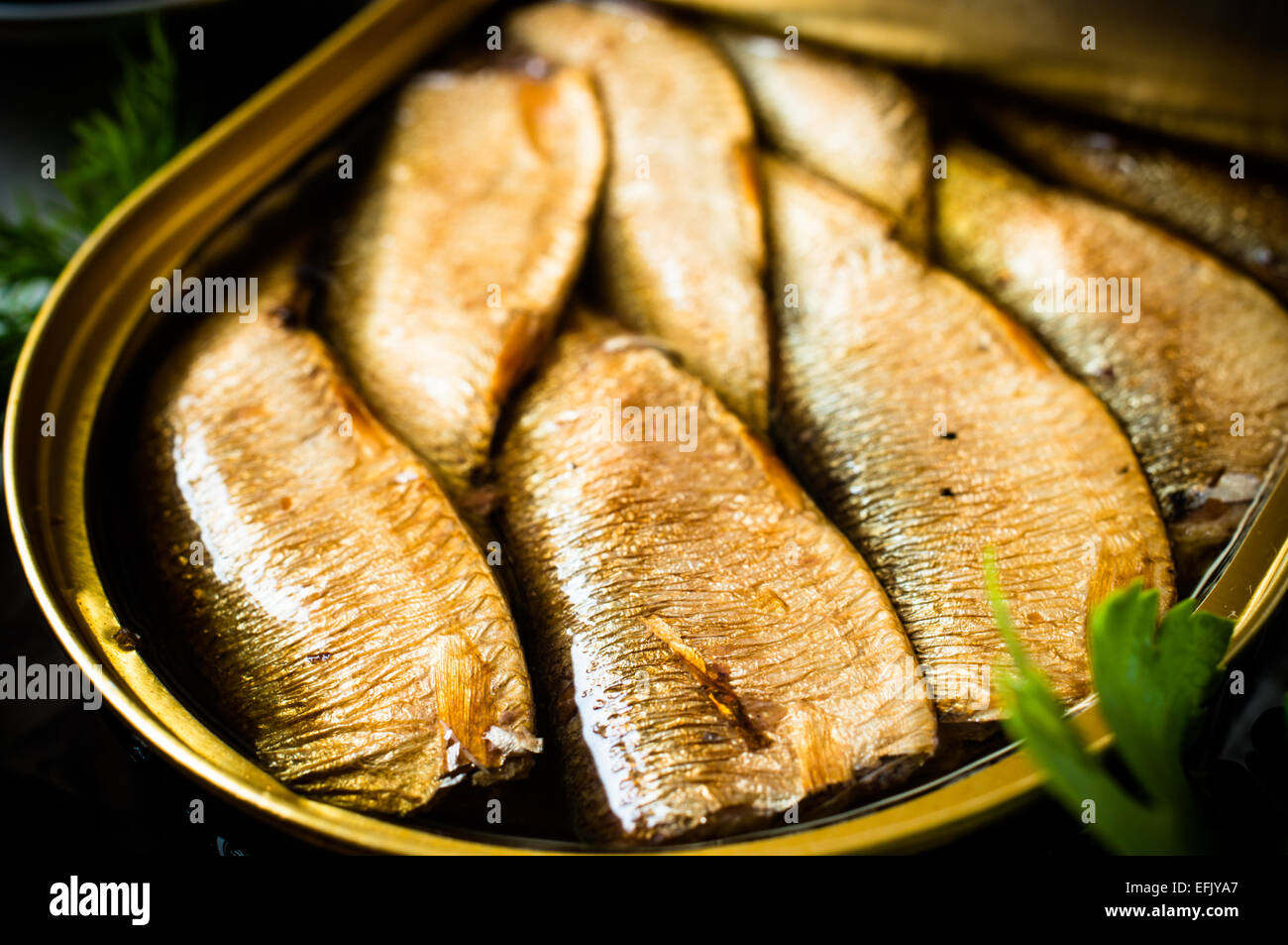 Oily fish sardines in can Banque de photographies et d’images à haute