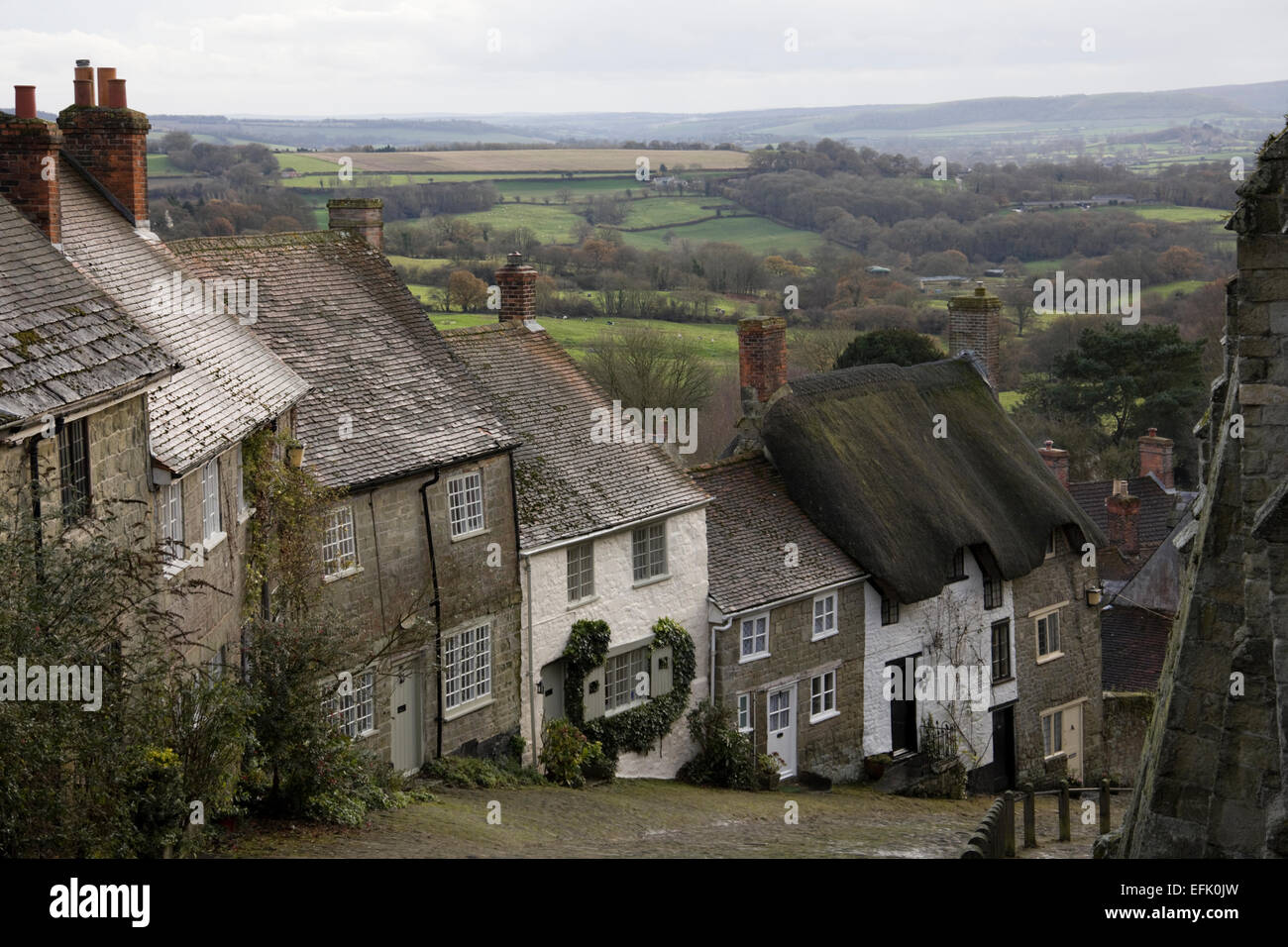 Rue Pavée, sur la colline d'or à Shaftesbury, dans le Dorset, Angleterre Banque D'Images