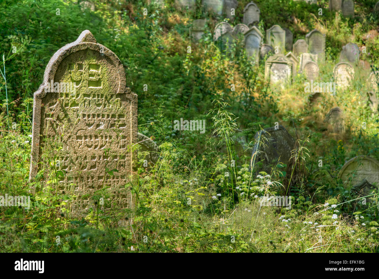 Cimetière juif - Nove Sedliste, République Tchèque Banque D'Images