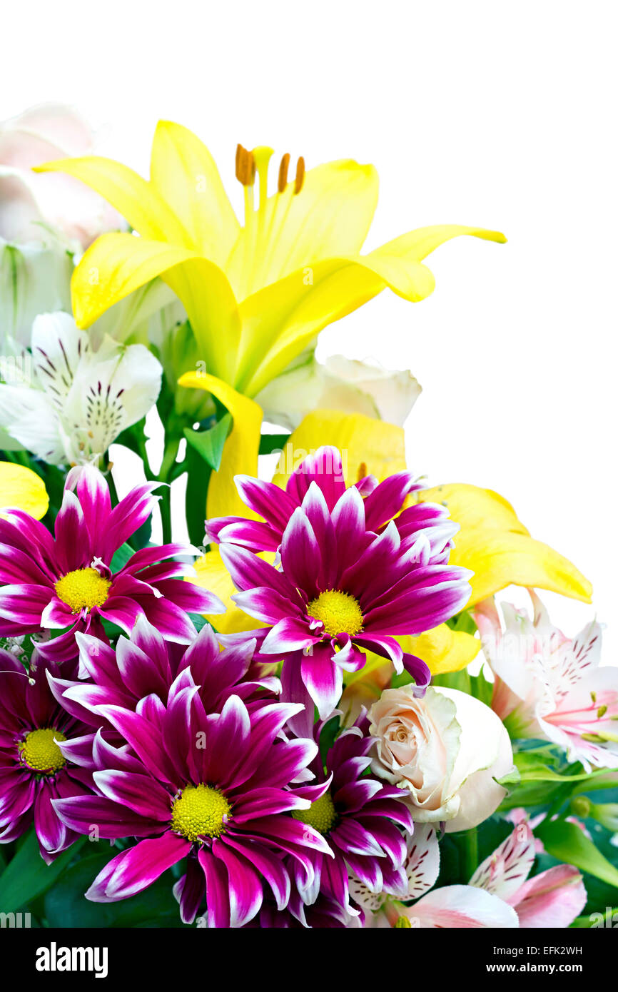 Un bouquet de fleurs différentes isolé sur fond blanc Banque D'Images